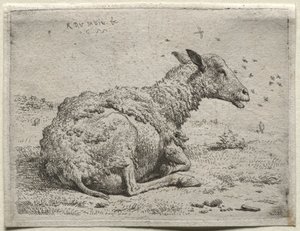绵羊和苍蝇。 作者 卡雷尔·杜哈丁（Karel Dujardin）