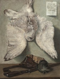 雪鸮 作者 卡雷尔·普基（Karel Purkyne）