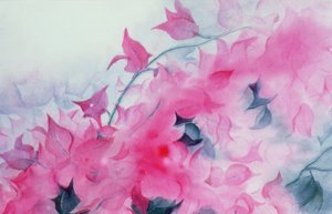 布干维拉
