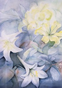 Lilium，Hearts Desire和Imperiale