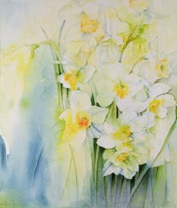 Narcissi和小苍兰 作者 卡伦·阿米蒂奇（Karen Armitage）