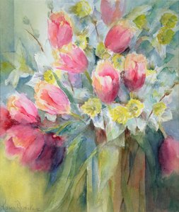Oxford Elite Narcissus，Ice Follies