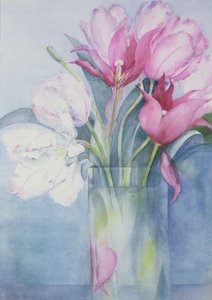粉红色的鹦鹉郁金香和Marlette 作者 卡伦·阿米蒂奇（Karen Armitage）