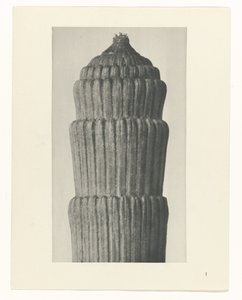 植物研究，Equisetum hiemale
艺术原型（系列名称） 作者 卡尔肾村