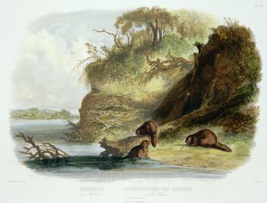 密苏里州的海狸小屋，从“北美洲内陆旅行”第1卷第17页，由Friedrich Salathe（1793-1858）1843年刻（aquatint） 作者 卡尔·博德默