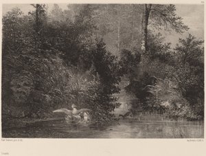 Canards, 18611866. 作者 卡尔·博德默