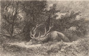 瑟弗-拉-雷波西（Cerf a la Reposee）。 作者 卡尔·博德默