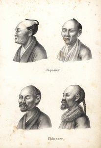 其中有留着头髻发型的日本男性半身像，以及留着胡须的中国男性半身像，其中一尊留着辫子。 卡尔·约瑟夫·布罗德曼 (Karl Joseph Brodtmann) 的石版画，出自海因里希·鲁道夫·辛茨 (Heinrich Rudolf Schinz) 的《人类与动物自然史插图》