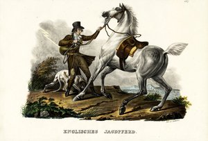 英国猎人马，1824年 作者 卡尔·约瑟夫·布罗特曼
