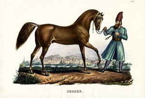 波斯马，1824年