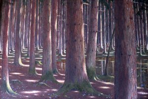 云杉林 作者 卡尔·兰布雷希特