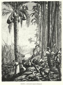 埃及 Mahmoudiyah 运河岸边（石版画）