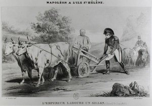 拿破仑（1769-1821）在圣赫勒拿岛上，由Francois le Villain雕刻（1819-22） 作者 洛伊洛特·哈特维格之后的卡尔