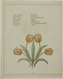 装饰插图，选自《插图花语 作者 凯特·格林威（Kate Greenaway）