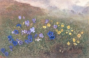 春山花，1896年