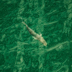 深水区（右侧），2021 年（照片）