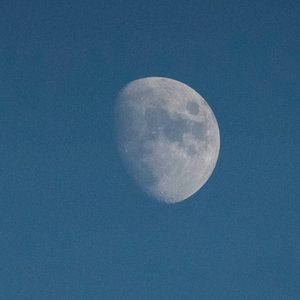 看月亮，2021 年（图片）