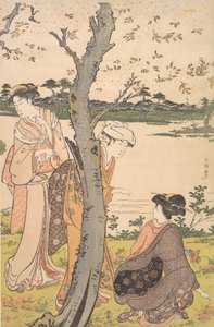 采集年轻的花朵，18世纪末。 作者 胜川俊町