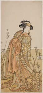 1775 年 11 月在中村剧场演出的《花灯源氏喜姬》中饰演鸳鸯精（Oshidori）的演员濑川菊之条三世（1775 年 11 月在中村剧场演出的《花灯源氏喜姬》中饰演鸳鸯精（Oshidori））。 作者 胜川俊章