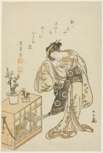 笼猴少女（1776 年新年日历版画） 作者 胜川俊章