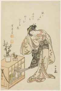 笼猴少女（1776 年新年日历版画） 作者 胜川俊章