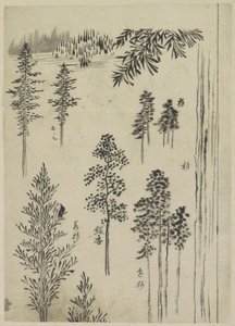 树木景观 作者 葛饰北斋（可能）