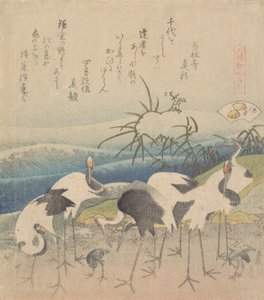 芦花蛤，出自《元禄开元》系列，1821年。 作者 葛饰北斋