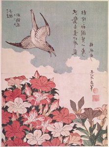 杜鹃花和杜鹃鸟》，Eijudo 出版，约 1830 年（彩色木刻版画） 作者 葛饰北斋