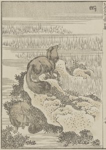 巴杰，c。 1840年（木版画） 作者 葛饰北斋