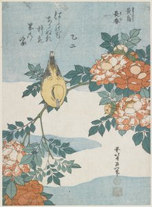 Black-Naped Oriole和China Rose，c。 1833 作者 葛饰北斋