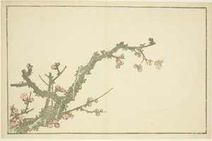 梅花盛开》，选自《北斋写实画集》（北斋写真集） 作者 葛饰北斋