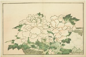 篮中菊》，选自《北斋写实画集》（北斋写真集） 作者 葛饰北斋