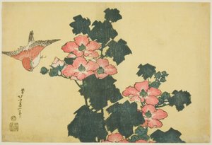 棉花玫瑰和麻雀》，选自无标题大花系列 作者 葛饰北斋