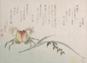 螃蟹和水稻植物，19世纪。 作者 葛饰北斋