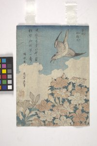 杜鹃与杜鹃（彩色木刻） 作者 葛饰北斋