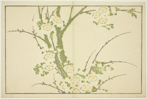花，选自《北斋写实画集》（北斋写真集） 作者 葛饰北斋