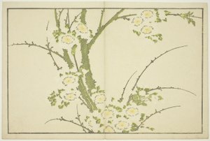 花，选自《北斋写实画集》，约 1814 年（彩色木刻版画（册页 作者 葛饰北斋