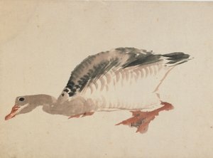 鹅，18世纪末至19世纪初。 作者 葛饰北斋
