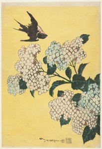 绣球花和燕子》，选自无标题大花系列 作者 葛饰北斋