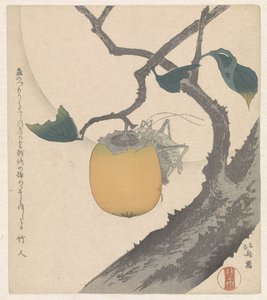 蟑螂果与蚱蜢 作者 葛饰北斋