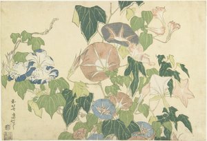 Morning Glories和Tree Frog，来自无名系列，名为Large Flowers，c.1833-34（彩色木版画） 作者 葛饰北斋