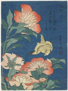牡丹和金丝雀，c。 1833 作者 葛饰北斋
