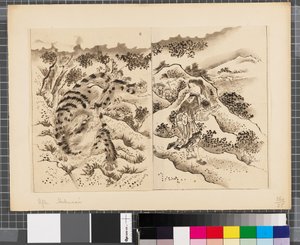 日韩战争场景，18 世纪末至 19 世纪上半叶（纸本水墨画） 作者 葛饰北斋