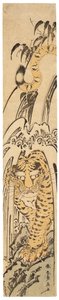 Takishita no tora（瀑布下的老虎），约 1780 年代（木刻版画） 作者 葛饰北斋
