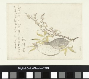 两条比目鱼和梅子 作者 木之持吉