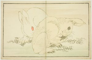 两只兔子，选自《北斋写实画集》（北斋写真集） 作者 葛饰北斋