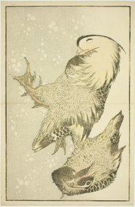 两只水鸟，选自《北斋写实画集》（北斋写真集） 作者 葛饰北斋