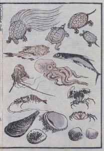 海底生物，来自漫画（彩色木版画） 作者 葛饰北斋