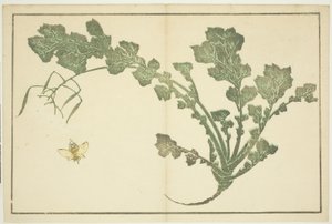 黄蜂和萝卜梗，选自《北斋写实画集》。 作者 葛饰北斋
