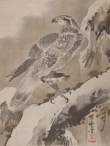 鹰控股小鸟，约。 1887年。 作者 川边京菜